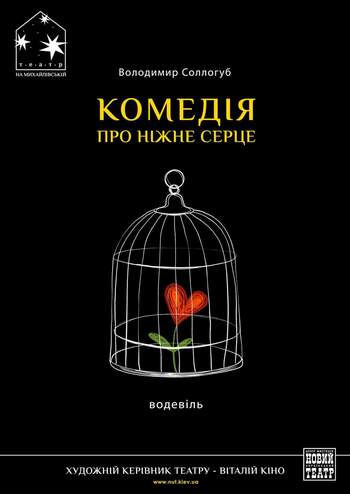 Комедія про ніжне серце